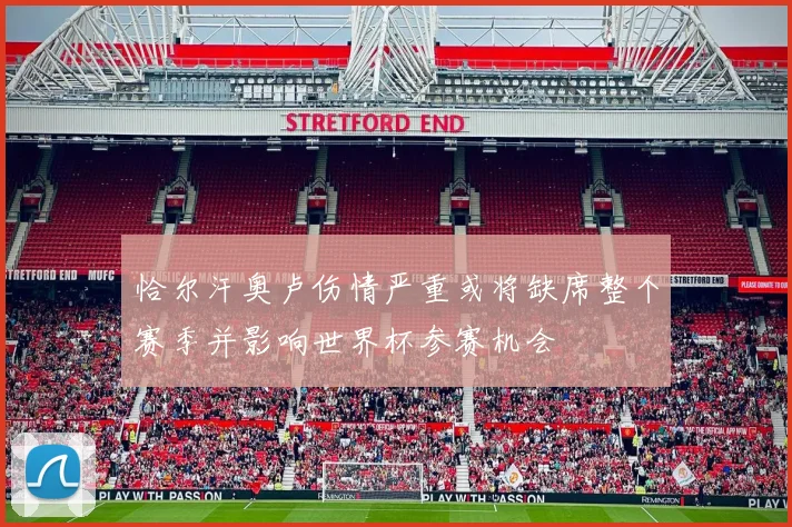 恰尔汗奥卢伤情严重或将缺席整个赛季并影响世界杯参赛机会