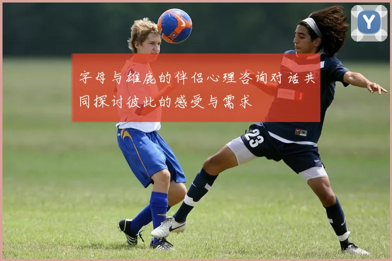 字母与雄鹿的伴侣心理咨询对话共同探讨彼此的感受与需求